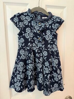 Janie and Jack dress 2t